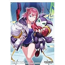 デジモンカード ユウキ Amazon.co.jp: デジモンカードゲーム ユウキ EX7-065 R レア